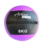 Active Gym Wall ball