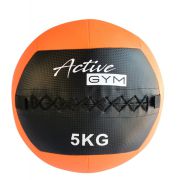 Active Gym Wall ball