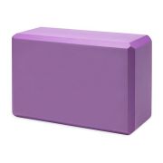 Active Gym Yoga Brick